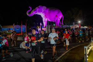 BIB: 
                            <button type="button" onclick="openModal(26552308)" class="btn btn-primary btn-sm float-right btn-popup" data-toggle="modal" data-target=".modal-high-quality">
                        <i class="fas fa-shopping-cart"></i> Add to Cart
                    </button>
                                            <button type="button" onclick="isThisMe(26552308, true)" class="btn btn-success btn-sm float-right btn-popup btn-isme hidden" data-toggle="tooltip" data-placement="bottom" title="นี่คือรูปของคุณใช่ไหม คลิกที่นี่เพื่อเอาเข้าอัลบั้ม">
                        <i class="fas fa-plus"></i> Add to album
                    </button>
                    <button type="button" onclick="isThisMe(26552308, false)" class="btn btn-warning btn-sm float-right btn-popup btn-isnotme hidden">
                        <i class="fas fa-ban"></i> Remove from album
                    </button>